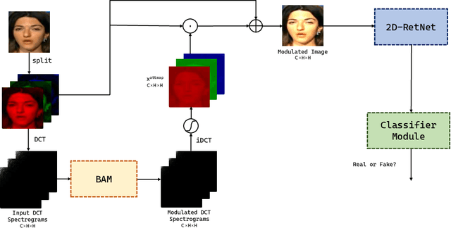 Figure 1 for Band-Attention Modulated RetNet for Face Forgery Detection