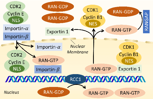 Figure 1 for Learning System Dynamics without Forgetting