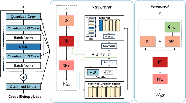 Figure 1 for Fast and Slow Gradient Approximation for Binary Neural Network Optimization