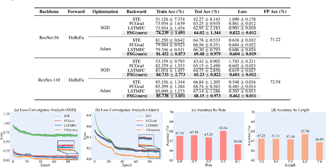 Figure 3 for Fast and Slow Gradient Approximation for Binary Neural Network Optimization