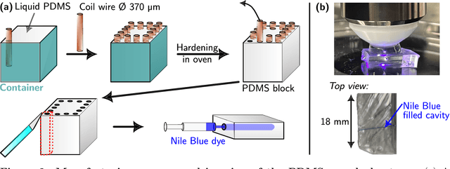 Figure 2 for Active Axial Motion Compensation in Multiphoton-Excited Fluorescence Microscopy