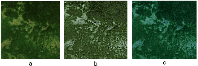 Figure 3 for Leveraging Activation Maximization and Generative Adversarial Training to Recognize and Explain Patterns in Natural Areas in Satellite Imagery