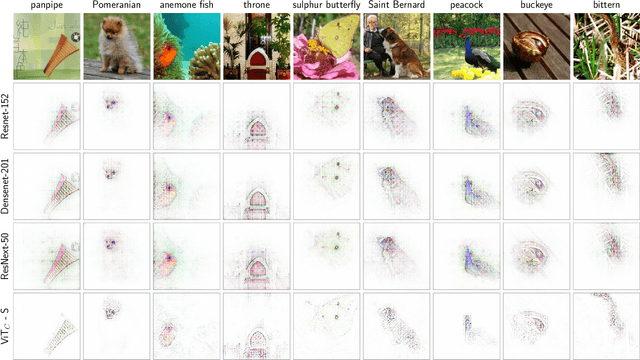 Figure 1 for B-cos Alignment for Inherently Interpretable CNNs and Vision Transformers