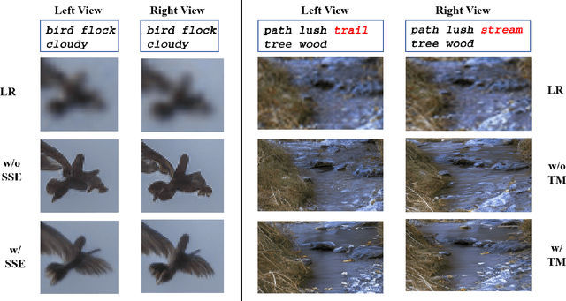 Figure 2 for DIffSteISR: Harnessing Diffusion Prior for Superior Real-world Stereo Image Super-Resolution