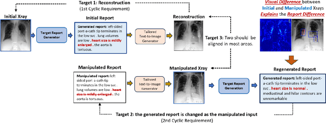 Figure 4 for Decoding Report Generators: A Cyclic Vision-Language Adapter for Counterfactual Explanations