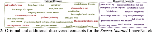 Figure 4 for Hierarchical Concept Discovery Models: A Concept Pyramid Scheme