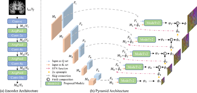 Figure 3 for ModeTv2: GPU-accelerated Motion Decomposition Transformer for Pairwise Optimization in Medical Image Registration