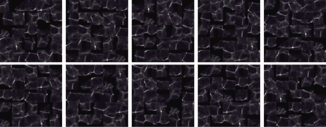 Figure 4 for Towards Physics-informed Cyclic Adversarial Multi-PSF Lensless Imaging