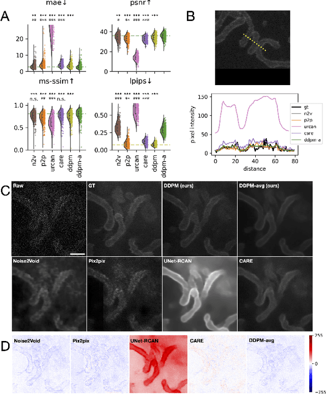 Figure 3 for Denoising diffusion models for high-resolution microscopy image restoration