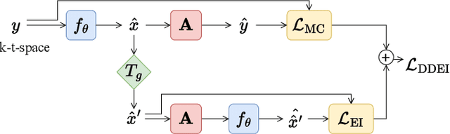 Figure 1 for Fully Unsupervised Dynamic MRI Reconstruction via Diffeo-Temporal Equivariance