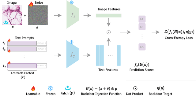 Figure 3 for BAPLe: Backdoor Attacks on Medical Foundational Models using Prompt Learning