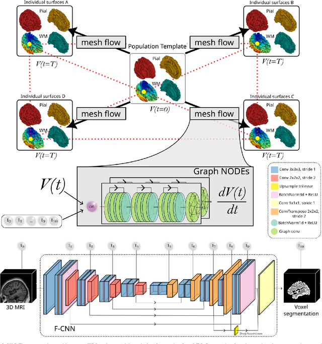 Figure 3 for Neural deformation fields for template-based reconstruction of cortical surfaces from MRI