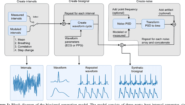 Figure 1 for Flexible framework for generating synthetic electrocardiograms and photoplethysmograms