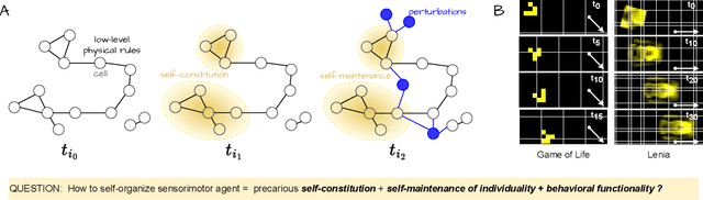 Figure 1 for Discovering Sensorimotor Agency in Cellular Automata using Diversity Search