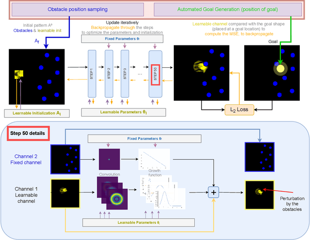 Figure 3 for Discovering Sensorimotor Agency in Cellular Automata using Diversity Search