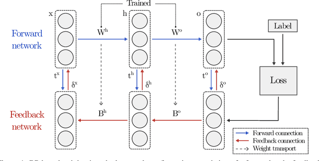Figure 1 for Frozen Backpropagation: Relaxing Weight Symmetry in Temporally-Coded Deep Spiking Neural Networks