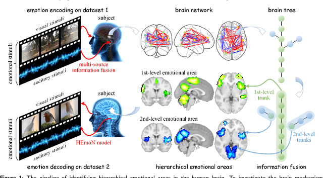 Figure 1 for Identifying the Hierarchical Emotional Areas in the Human Brain Through Information Fusion