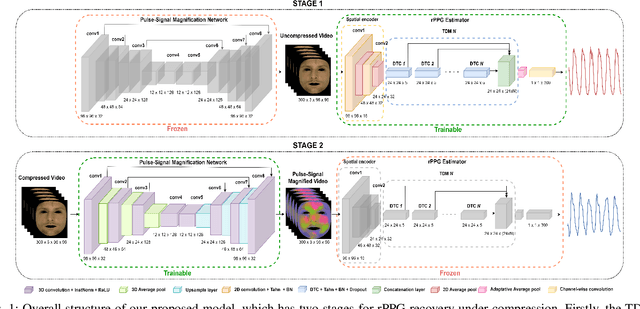 Figure 1 for Deep Pulse-Signal Magnification for remote Heart Rate Estimation in Compressed Videos