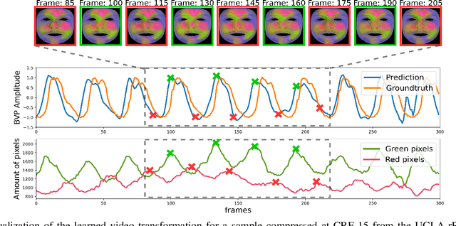 Figure 2 for Deep Pulse-Signal Magnification for remote Heart Rate Estimation in Compressed Videos