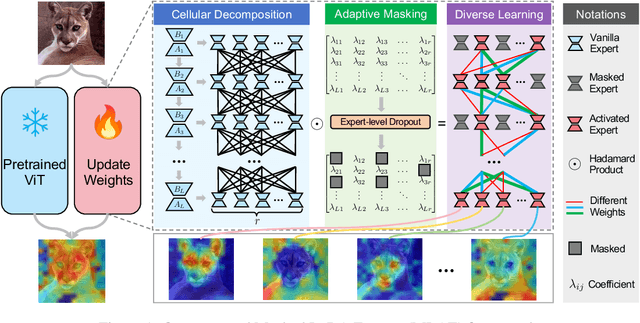 Figure 1 for MLAE: Masked LoRA Experts for Parameter-Efficient Fine-Tuning