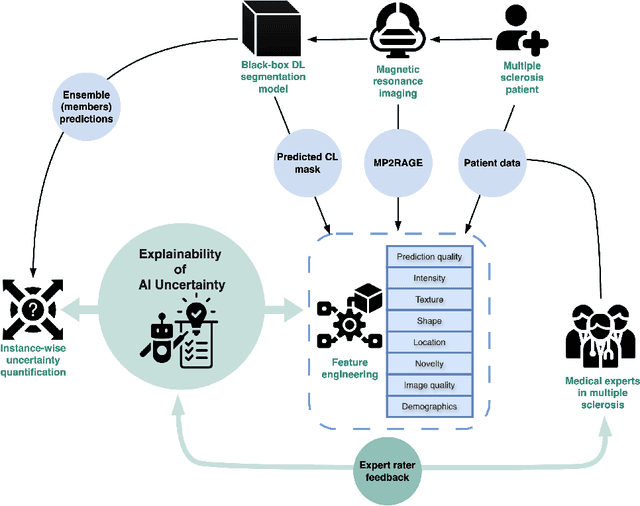 Figure 3 for Explainability of AI Uncertainty: Application to Multiple Sclerosis Lesion Segmentation on MRI