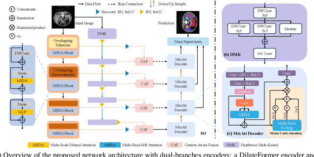 Figure 1 for FIAS: Feature Imbalance-Aware Medical Image Segmentation with Dynamic Fusion and Mixing Attention