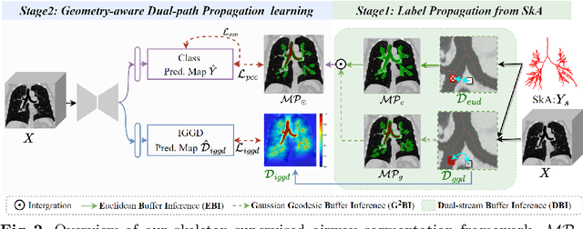 Figure 3 for Skeleton Supervised Airway Segmentation