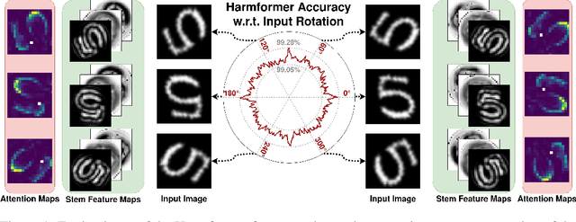 Figure 1 for Harmformer: Harmonic Networks Meet Transformers for Continuous Roto-Translation Equivariance