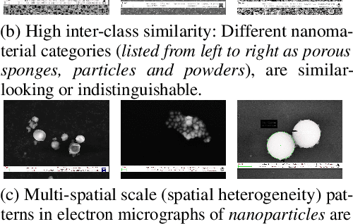 Figure 1 for Preliminary Investigations of a Multi-Faceted Robust and Synergistic Approach in Semiconductor Electron Micrograph Analysis: Integrating Vision Transformers with Large Language and Multimodal Models