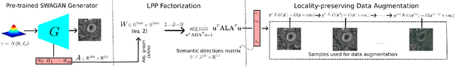 Figure 1 for Locality-preserving Directions for Interpreting the Latent Space of Satellite Image GANs