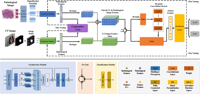 Figure 1 for CC-DCNet: Dynamic Convolutional Neural Network with Contrastive Constraints for Identifying Lung Cancer Subtypes on Multi-modality Images