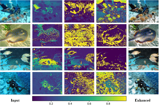 Figure 2 for FDCE-Net: Underwater Image Enhancement with Embedding Frequency and Dual Color Encoder