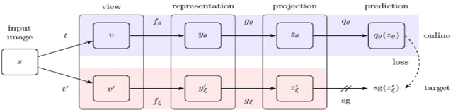 Figure 1 for Integration of Self-Supervised BYOL in Semi-Supervised Medical Image Recognition