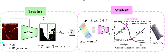 Figure 3 for NeuralOCT: Airway OCT Analysis via Neural Fields