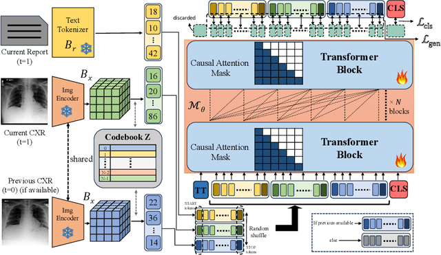 Figure 1 for TiBiX: Leveraging Temporal Information for Bidirectional X-ray and Report Generation