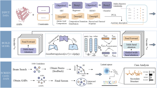 Figure 1 for MoFormer: Multi-objective Antimicrobial Peptide Generation Based on Conditional Transformer Joint Multi-modal Fusion Descriptor