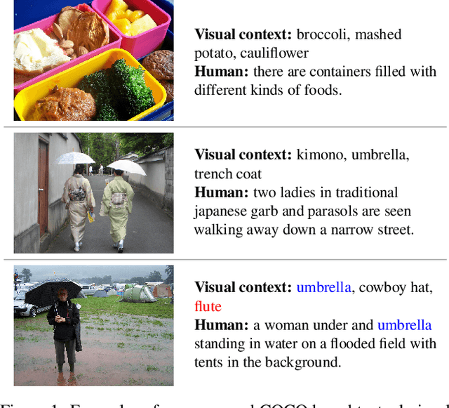 Figure 1 for Visual Semantic Relatedness Dataset for Image Captioning