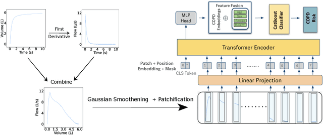 Figure 1 for Transformer-based Time-Series Biomarker Discovery for COPD Diagnosis