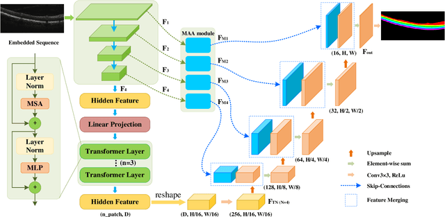 Figure 2 for Light-weight Retinal Layer Segmentation with Global Reasoning