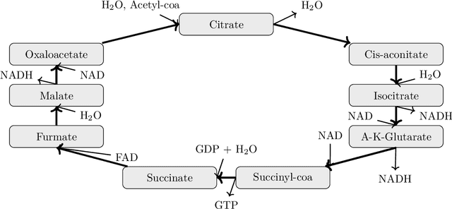 Figure 2 for Causal Learning in Biomedical Applications