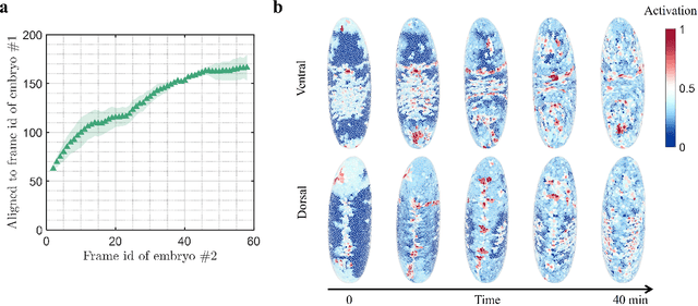 Figure 2 for Multicell-Fold: geometric learning in folding multicellular life