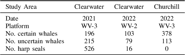 Figure 4 for Beluga Whale Detection from Satellite Imagery with Point Labels
