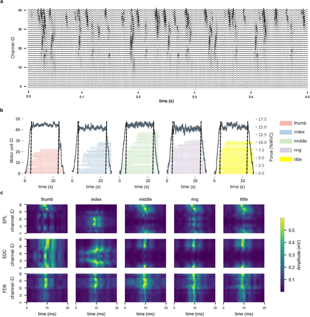 Figure 3 for Intramuscular High-Density Micro-Electrode Arrays Enable High-Precision Decoding and Mapping of Spinal Motor Neurons to Reveal Hand Control