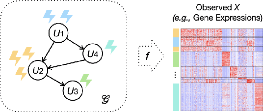 Figure 1 for Identifiability Guarantees for Causal Disentanglement from Soft Interventions