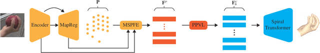 Figure 3 for STMR: Spiral Transformer for Hand Mesh Reconstruction