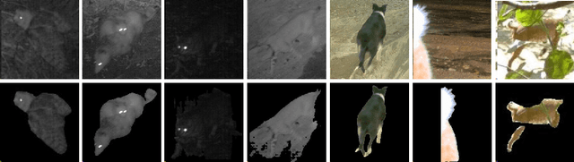 Figure 4 for Towards Zero-Shot Camera Trap Image Categorization