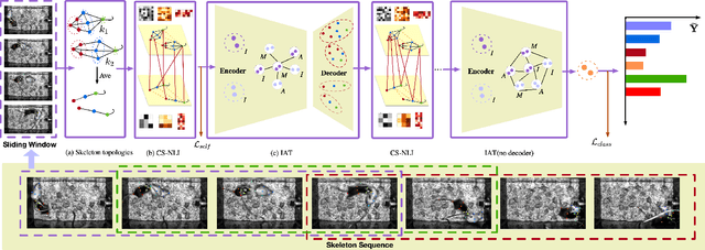 Figure 1 for Cross-Skeleton Interaction Graph Aggregation Network for Representation Learning of Mouse Social Behaviour