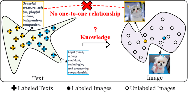 Figure 1 for Noise May Contain Transferable Knowledge: Understanding Semi-supervised Heterogeneous Domain Adaptation from an Empirical Perspective