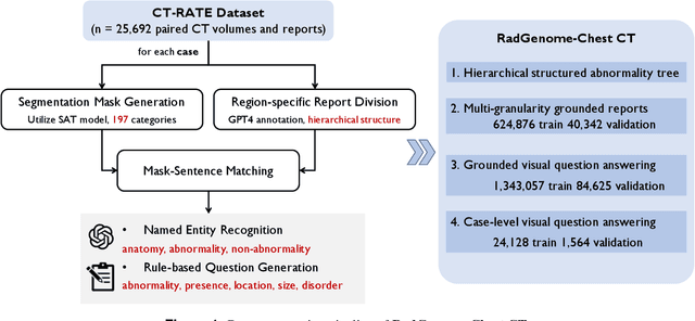 Figure 1 for RadGenome-Chest CT: A Grounded Vision-Language Dataset for Chest CT Analysis