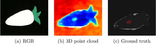 Figure 1 for Image-Pointcloud Fusion based Anomaly Detection using PD-REAL Dataset